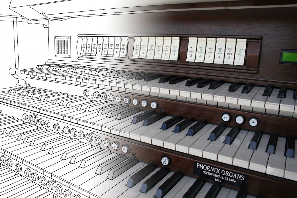 Organs